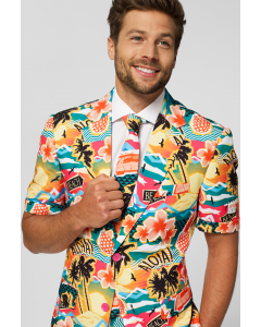 Aloha Hero
